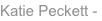 shapeimage_4_link_0